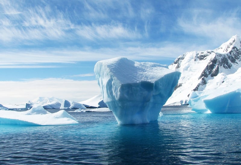 Polar Vows